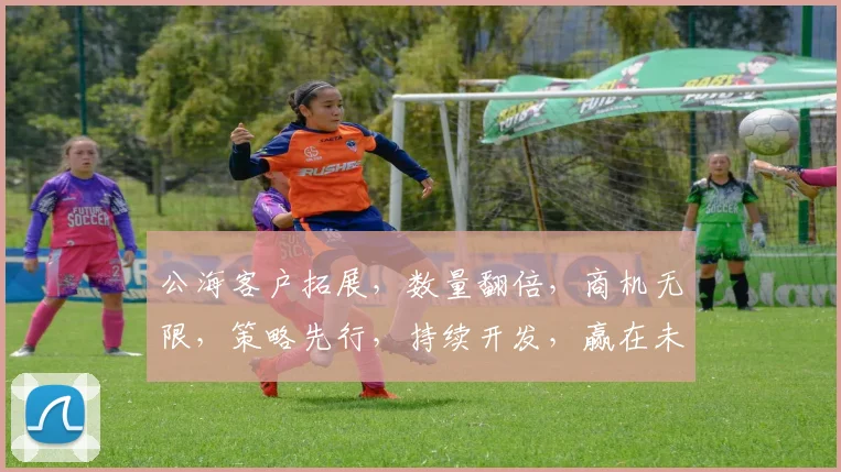公海客户拓展，数量翻倍，商机无限，策略先行，持续开发，赢在未来，三步走