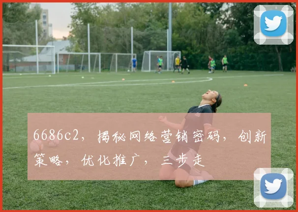 6686c2，揭秘网络营销密码，创新策略，优化推广，三步走