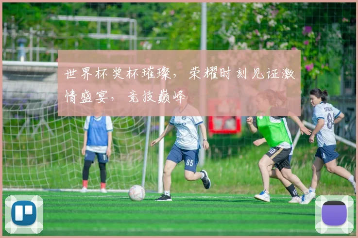世界杯奖杯璀璨，荣耀时刻见证激情盛宴，竞技巅峰