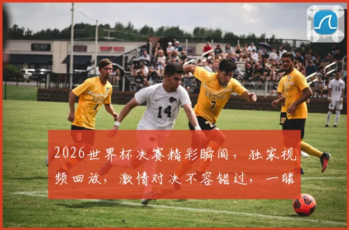 2026世界杯决赛精彩瞬间，独家视频回放，激情对决不容错过，一睹为快