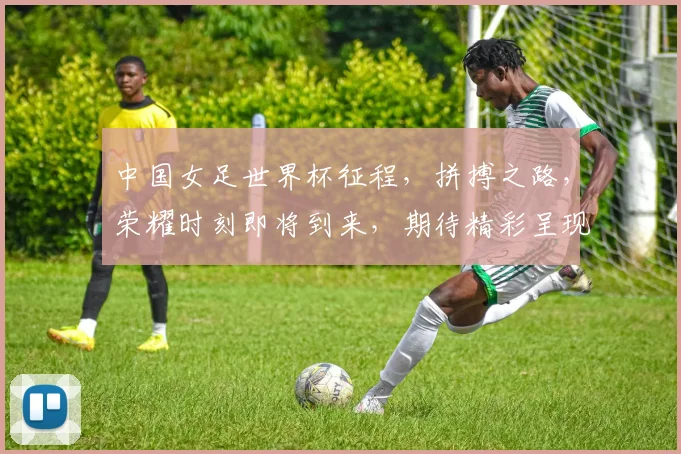 中国女足世界杯征程，拼搏之路，荣耀时刻即将到来，期待精彩呈现